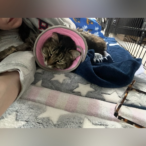 EUC Black Dress by NBD - Picture 8 of 11